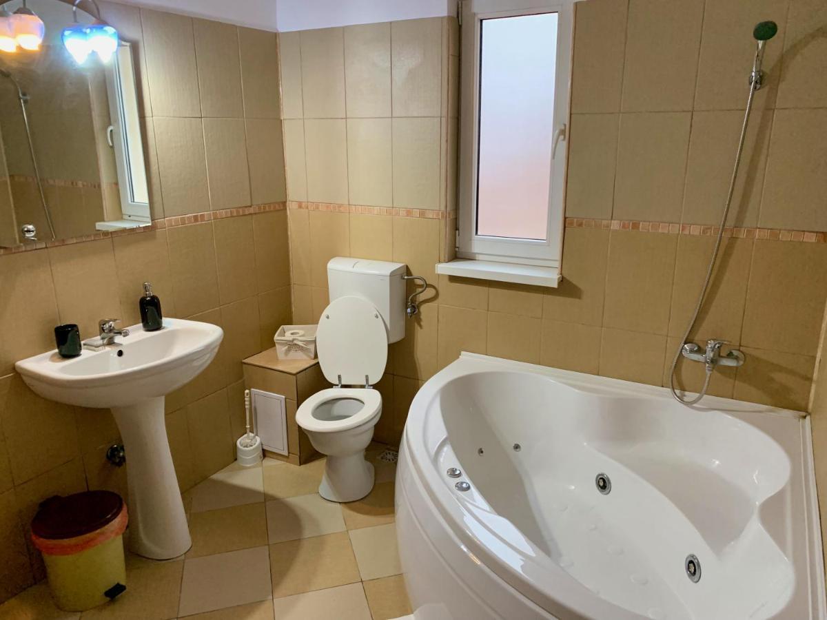 ブラショフ Casa Costacheヴィラ エクステリア 写真