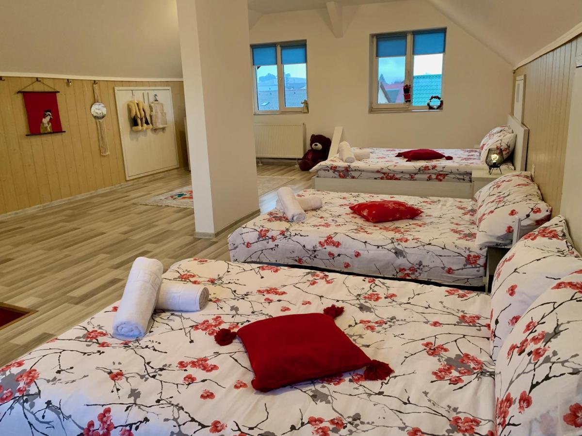 ブラショフ Casa Costacheヴィラ エクステリア 写真